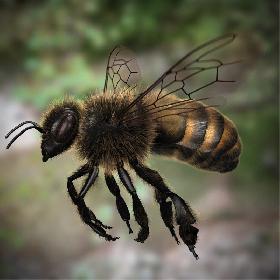 Honeybee (RIGGED AND ANIMATED)